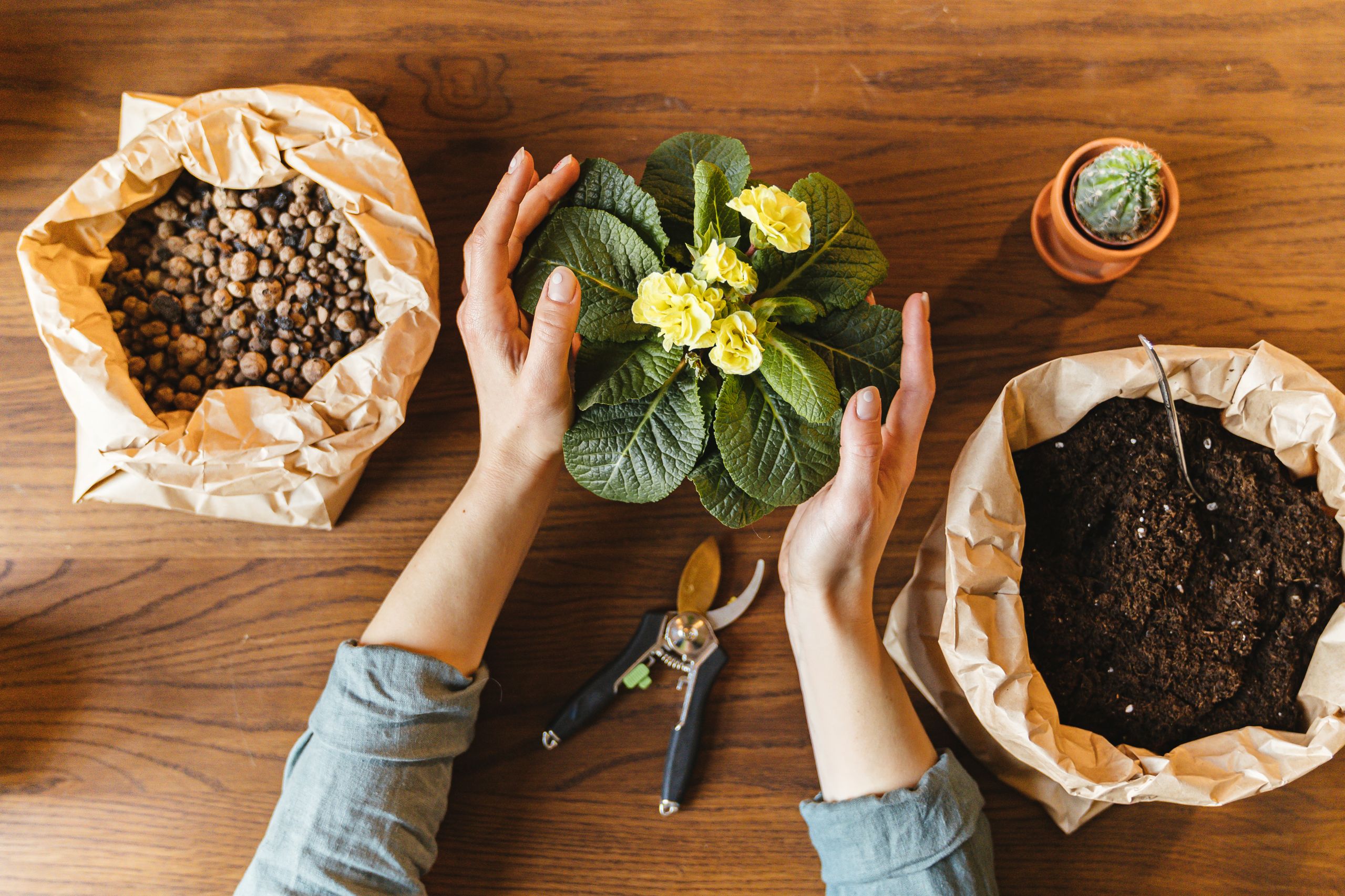 Organic Soils